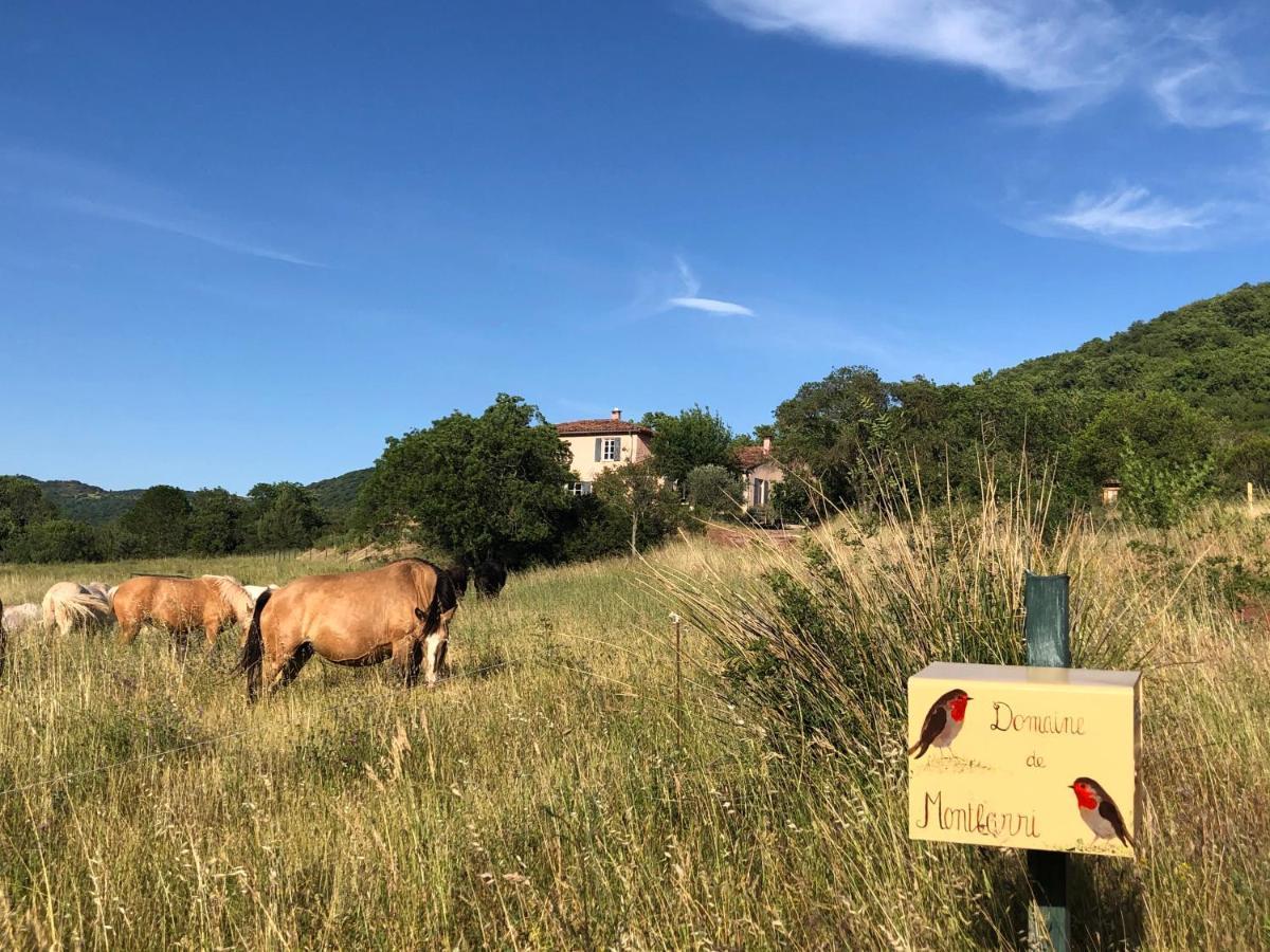 Domaine De Montbarri Bed & Breakfast La Tour-sur-Orb ภายนอก รูปภาพ