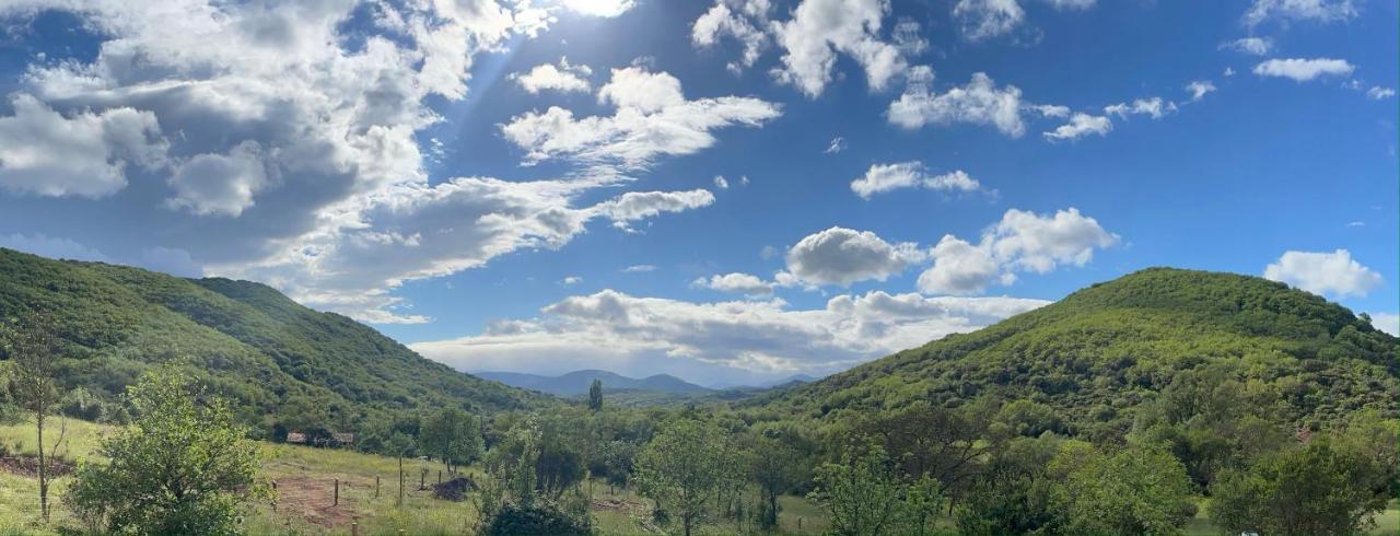 Domaine De Montbarri Bed & Breakfast La Tour-sur-Orb ภายนอก รูปภาพ