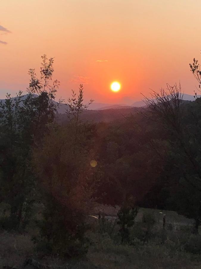 Domaine De Montbarri Bed & Breakfast La Tour-sur-Orb ภายนอก รูปภาพ