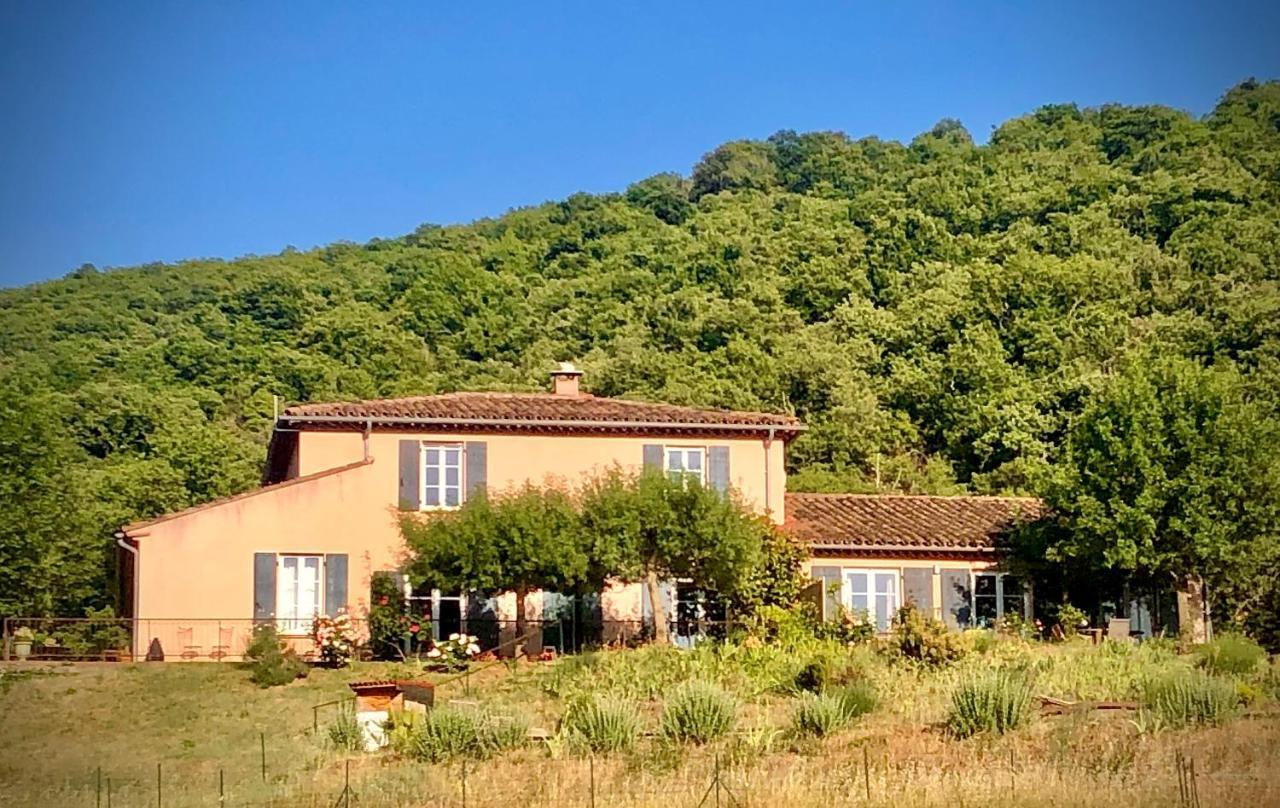 Domaine De Montbarri Bed & Breakfast La Tour-sur-Orb ภายนอก รูปภาพ